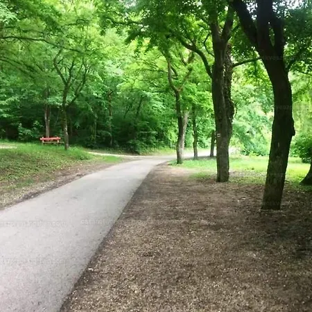 Koloska Bed and breakfast Balatonfüred